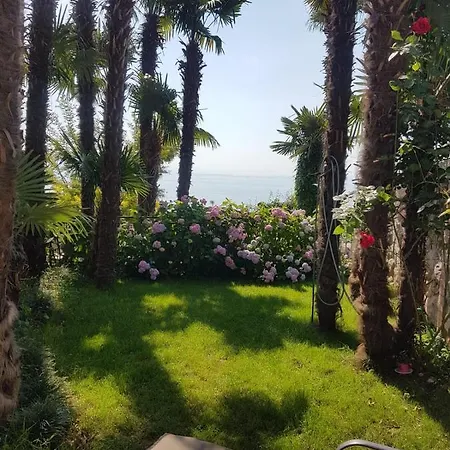 Beautiful View 3 *
